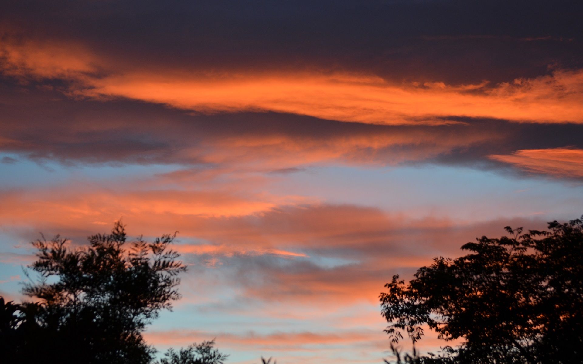 1920x1200 Bushfire Sky