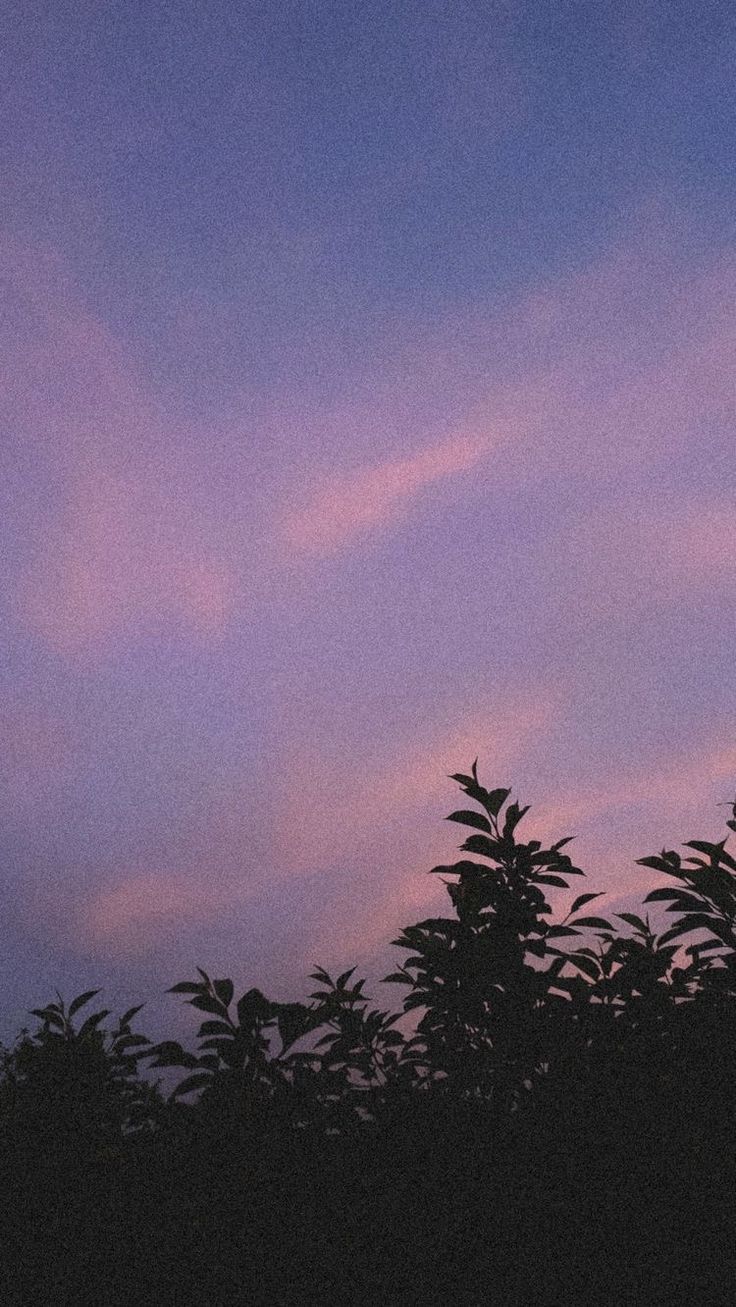 736x1307 ideas de Normal sky. fondos de pantalla reggae, fondos para fotos, fondos para fotos tumblr