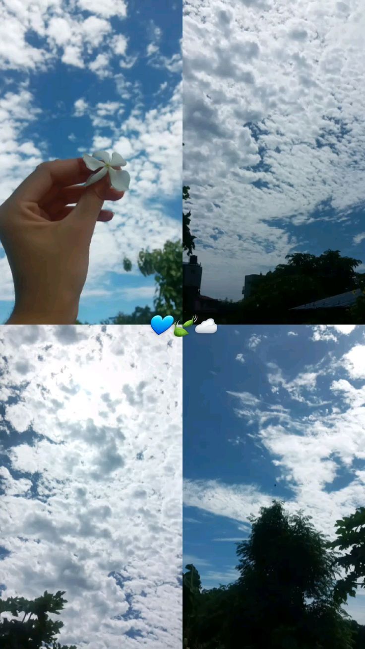 736x1308 Sky