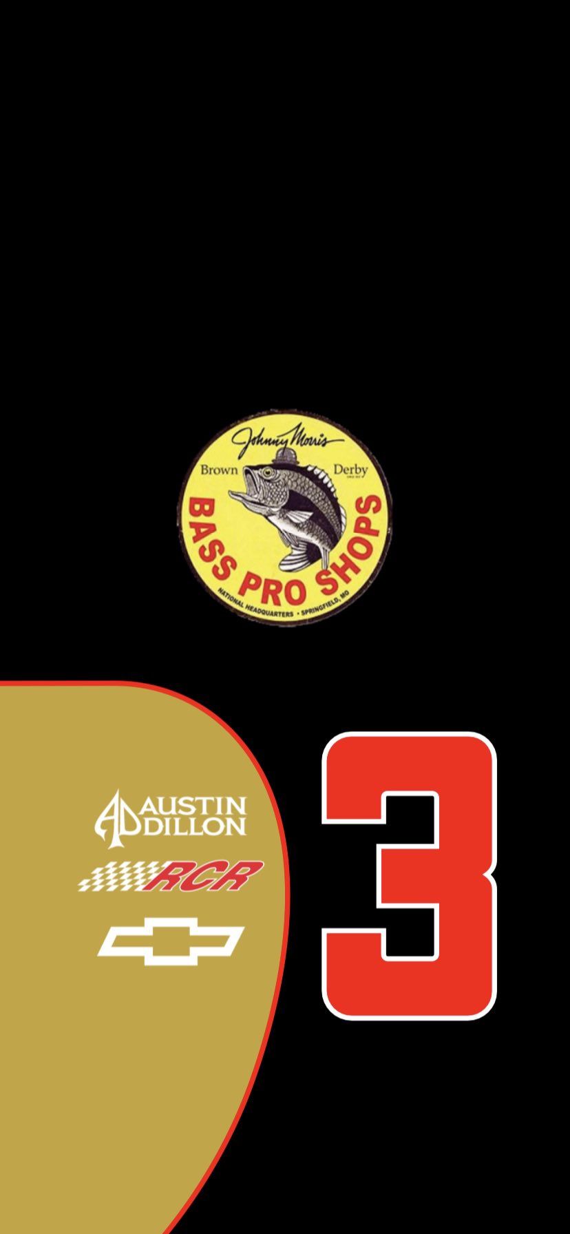 828x1792 Austin Dillon Wallpaper