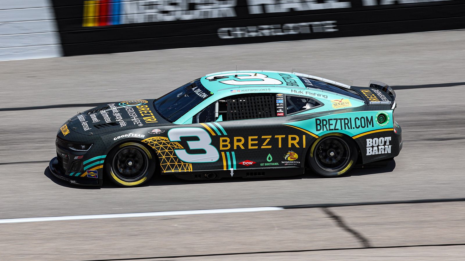 1600x900 No. 3 Richard Childress Racing BREZTRI Paint Scheme