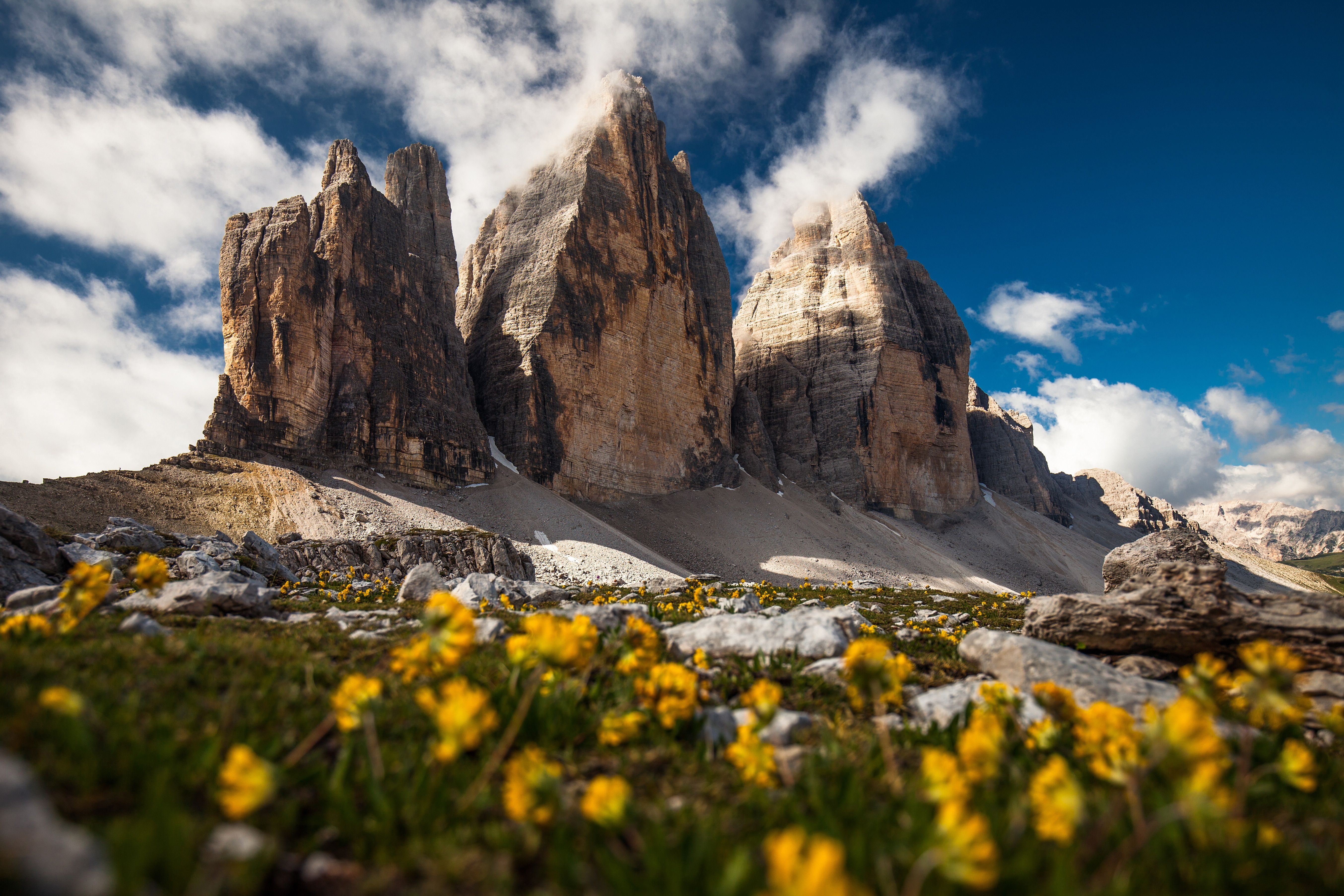 5416x3611 Tre Cime di Lavaredo: Stunning Dolomites Cliffs with Alpine Flowers in Summer 4K UHDx3611
