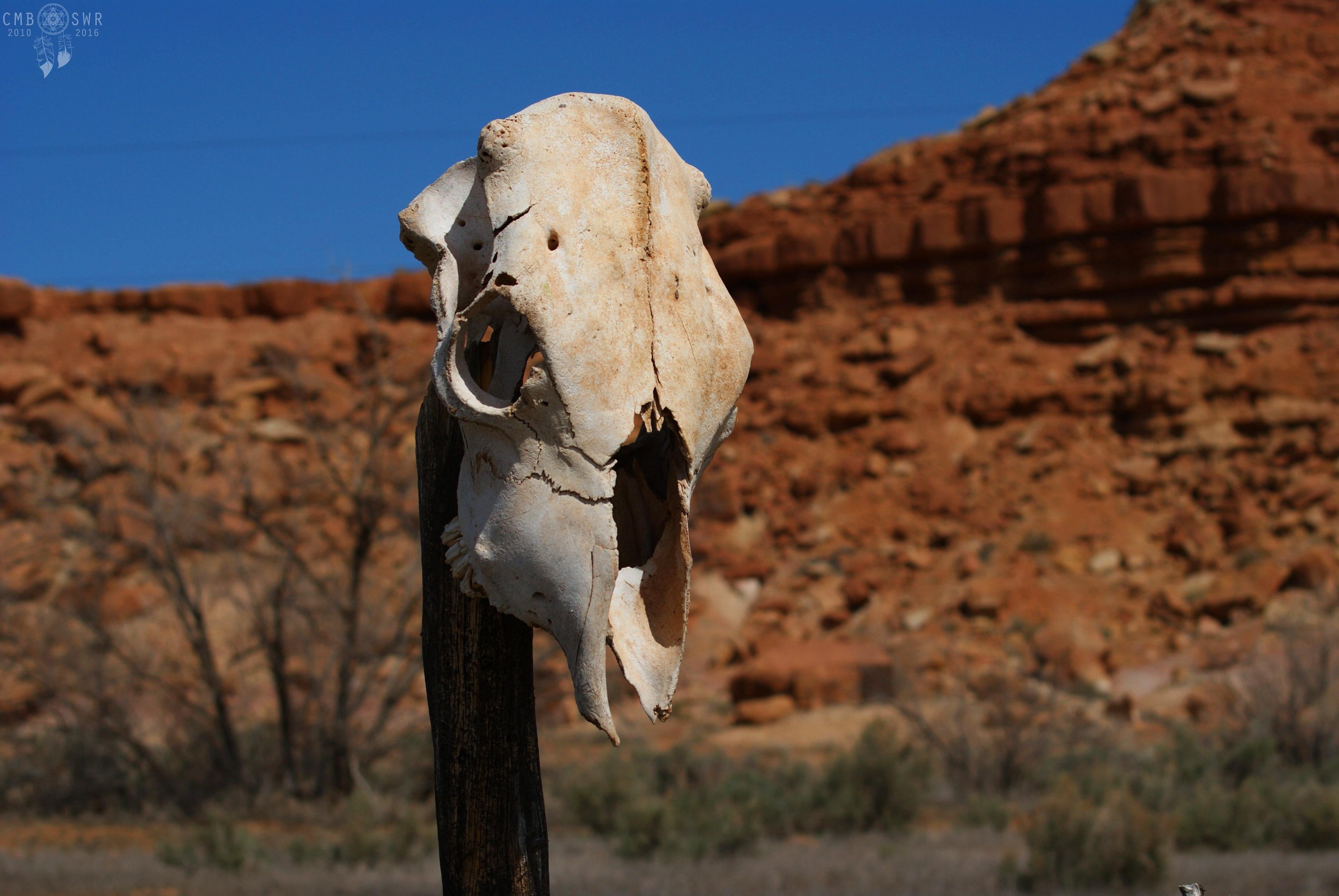 3872x2592 image from Skinwalker Ranch a time line of 2010 to 2016