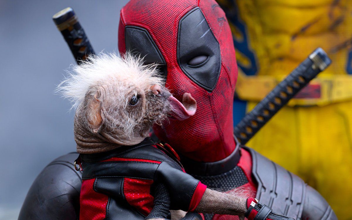 1200x750 Deadpool & Wolverine (4K UHD) PC WALLPAPER with DogPool!