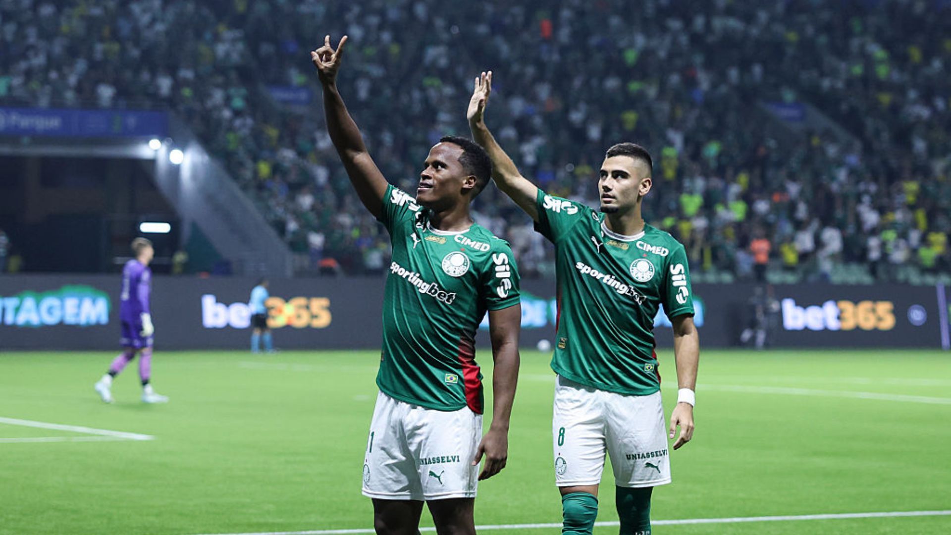 1920x1080 Jhon Arias marca, e Palmeiras vence o Botafogo pelo Brasileirão