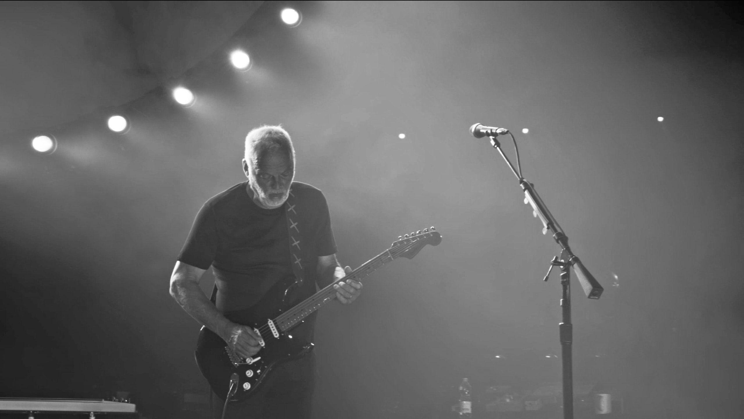 2560x1440 Free of band, black and white, David Gilmour