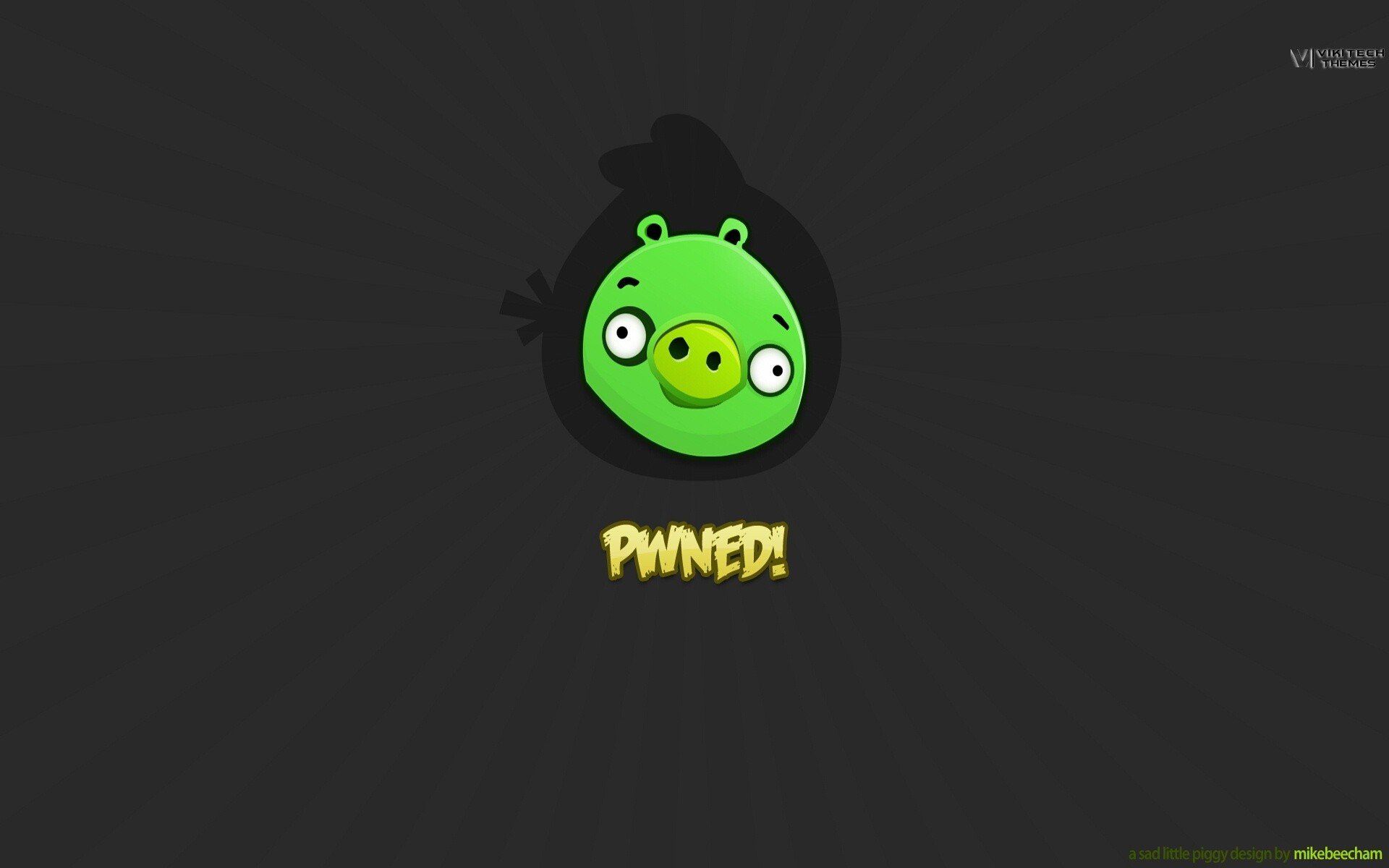 1920x1200 Download Video Game Angry Birds HD Wallpaperx1200