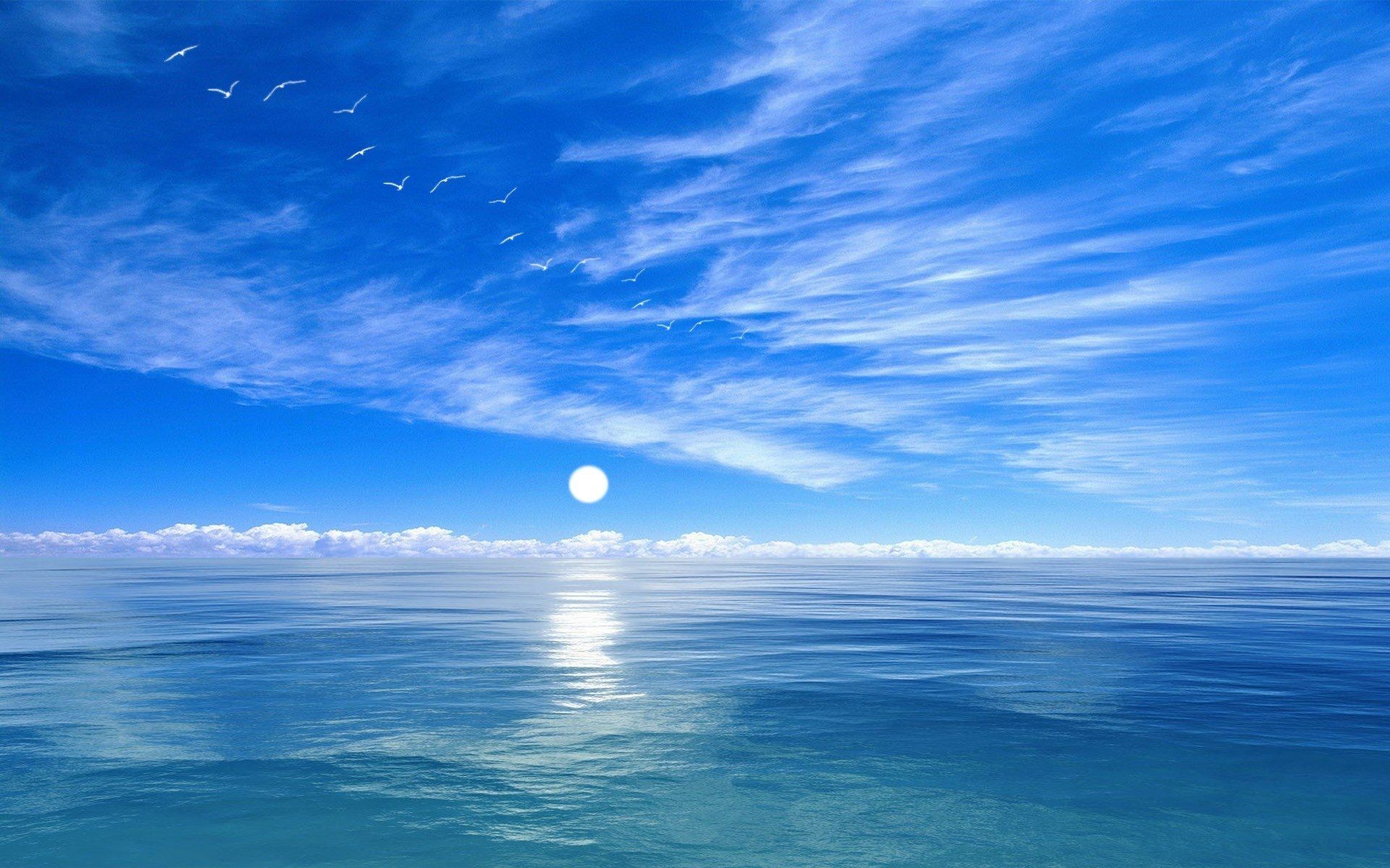 1920x1200 Moonlit Horizon Over Serene Ocean with Soaring Seagulls