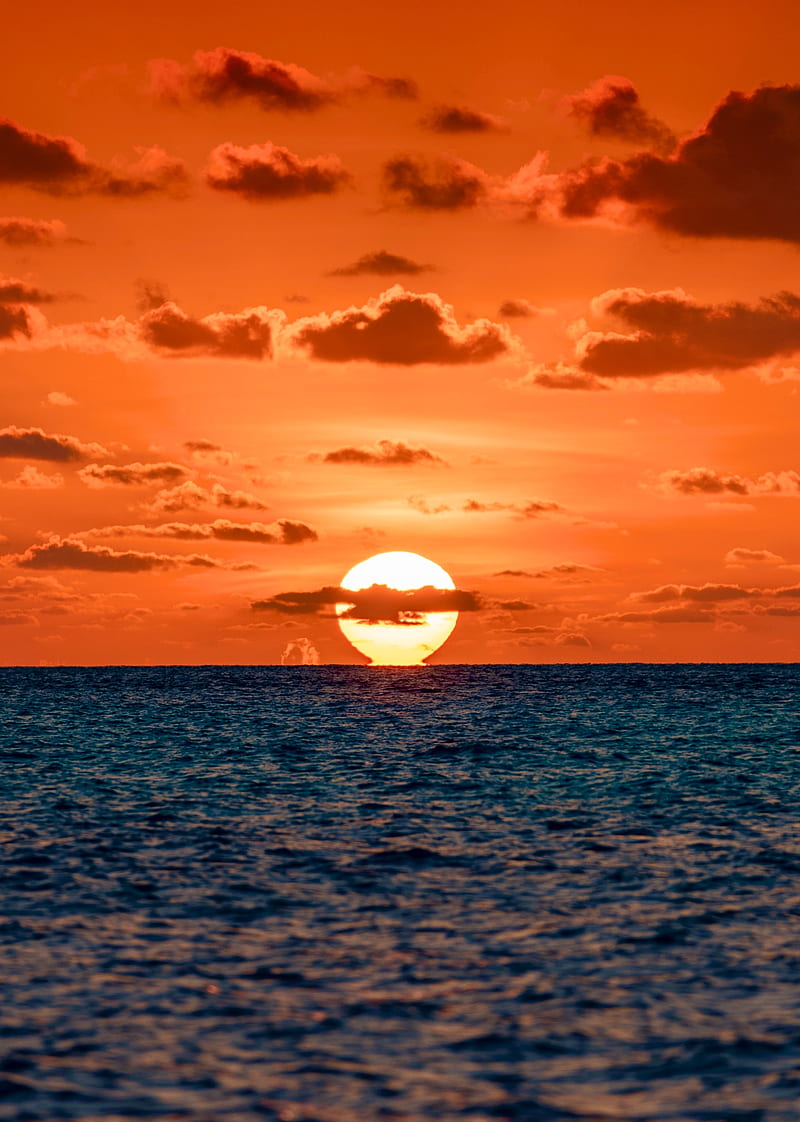 800x1122 Sun, sunset, horizon, sea, water, HD phone wallpaper