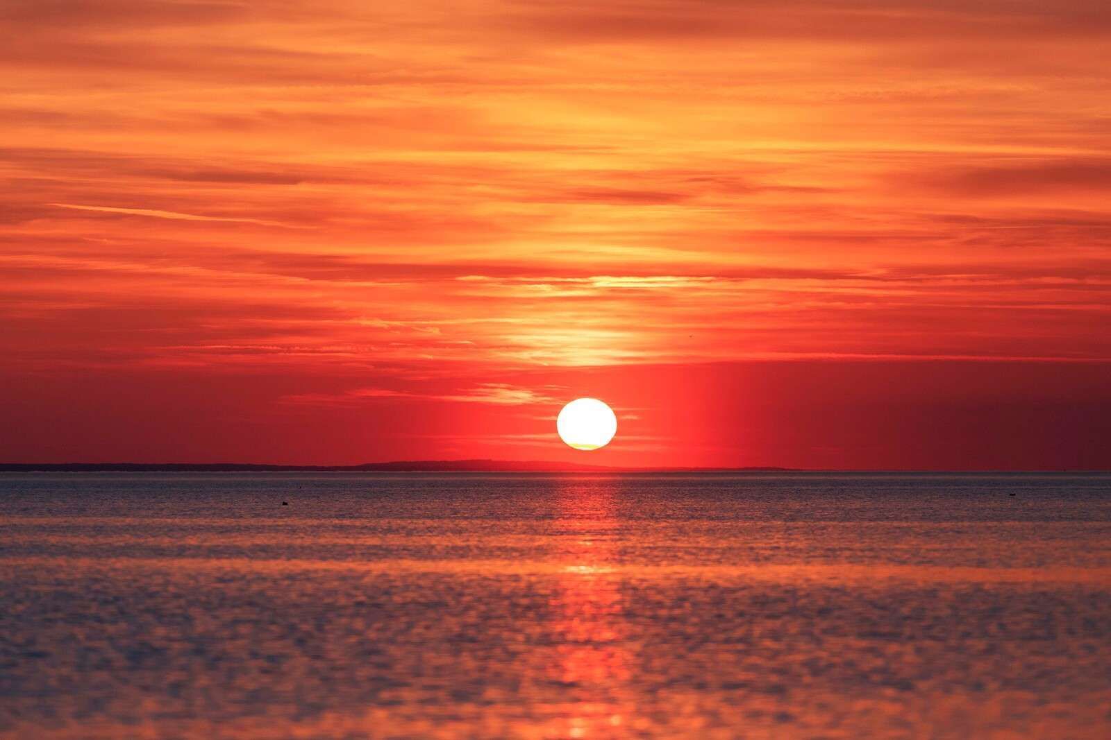 1600x1067 Wall Mural red sunset over calm sea