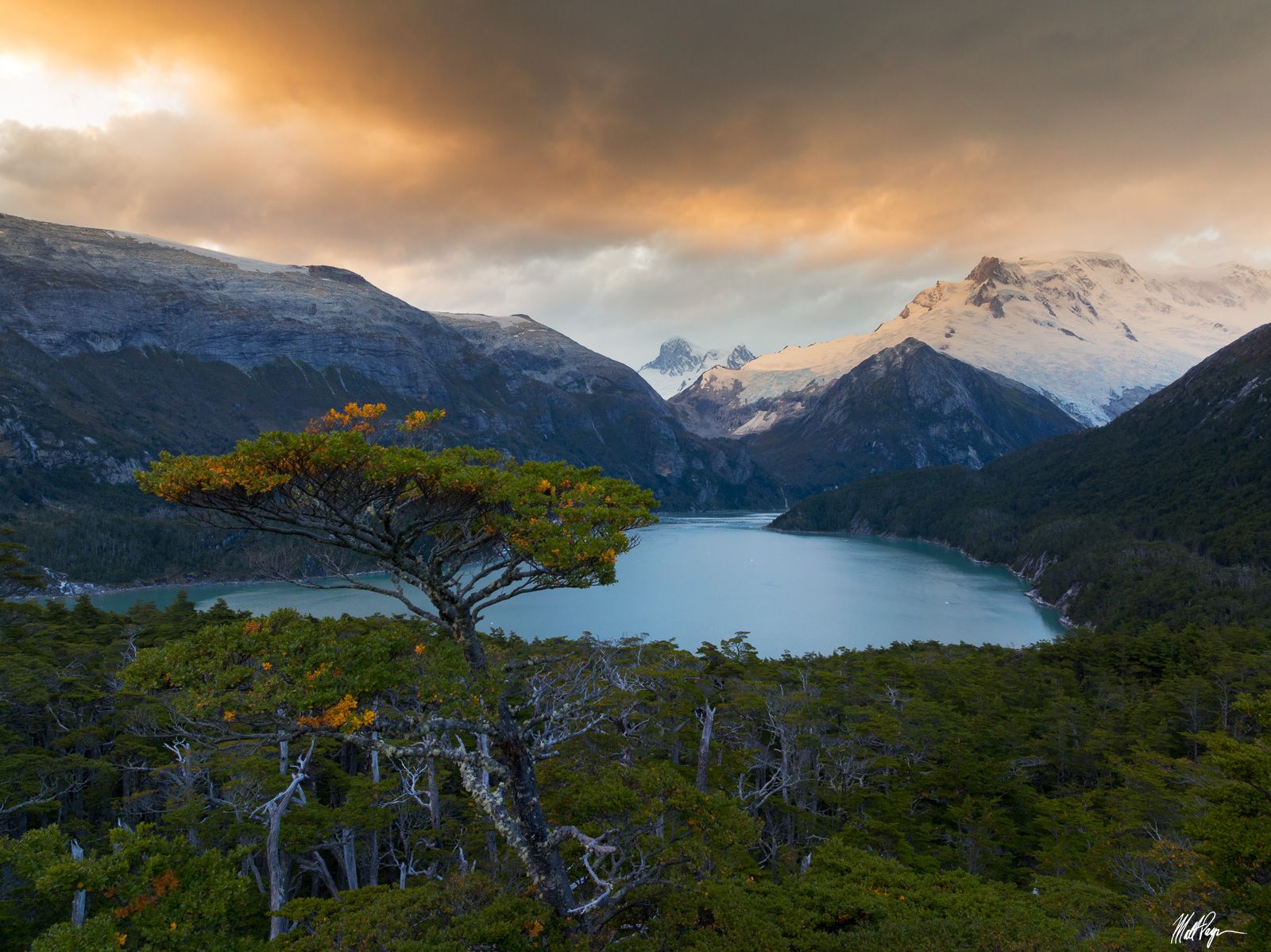 1600x1198 Fjord Light (2025). Chile, Patagonia, Tierra del Fuego