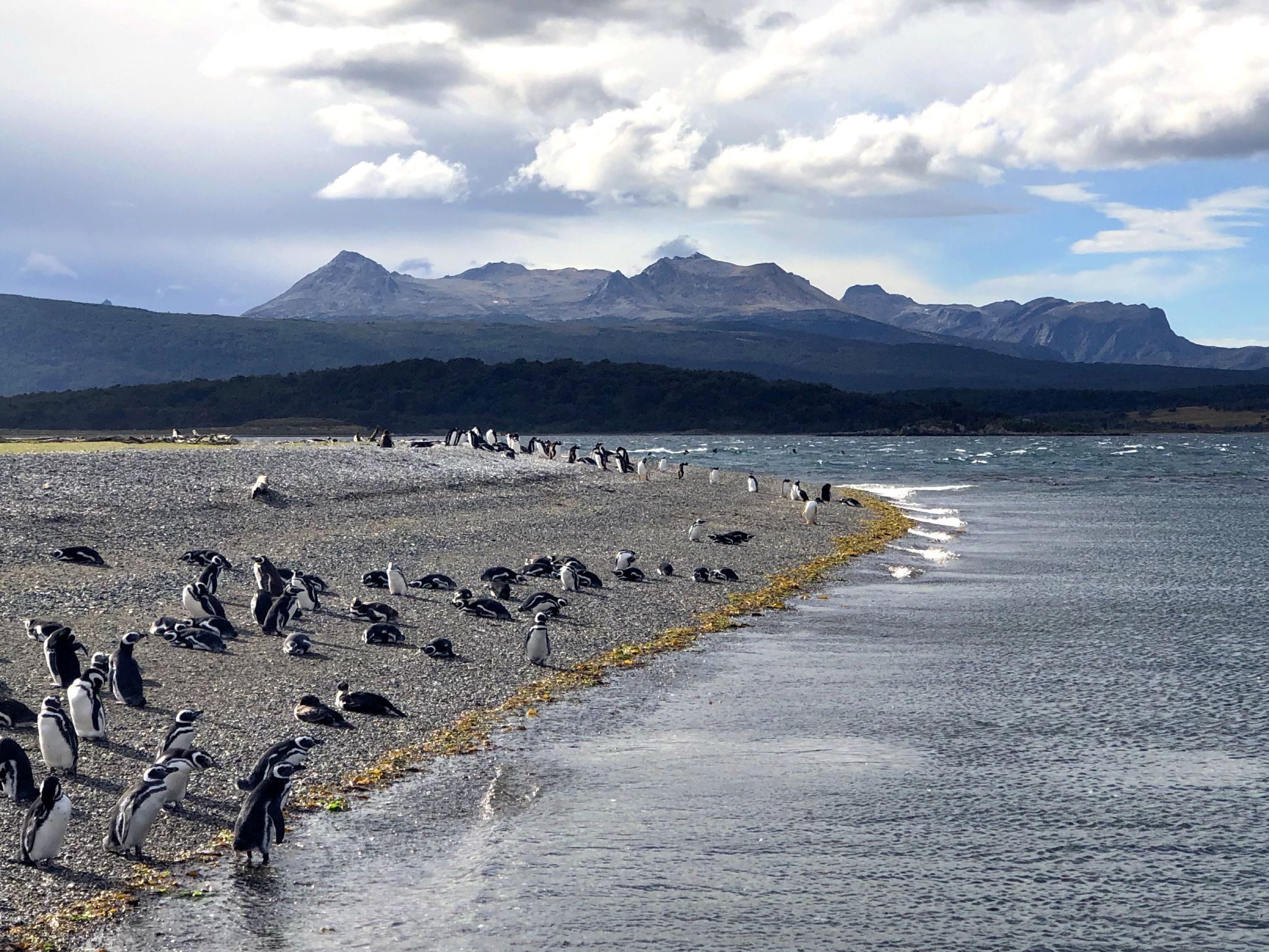 2048x1536 Tierra Del Fuego, Argentina Traveled Fella