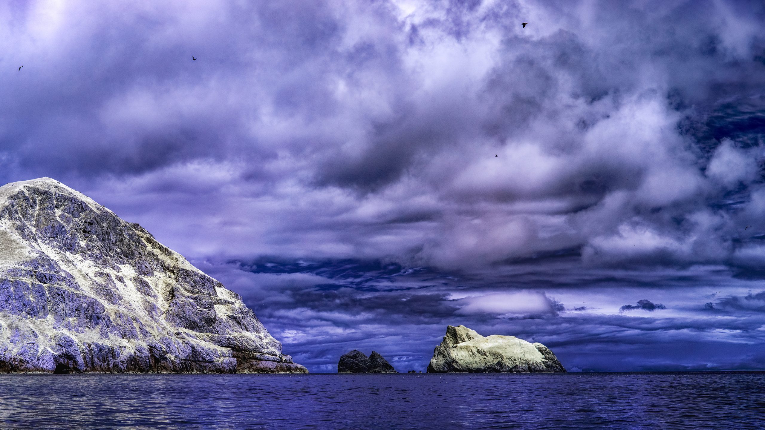 2560x1440 St. Kilda—Nature, the Sublime, the Pictureque