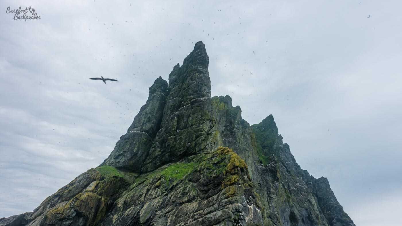 1400x788 Why you should visit St Kilda Barefoot Backpacker