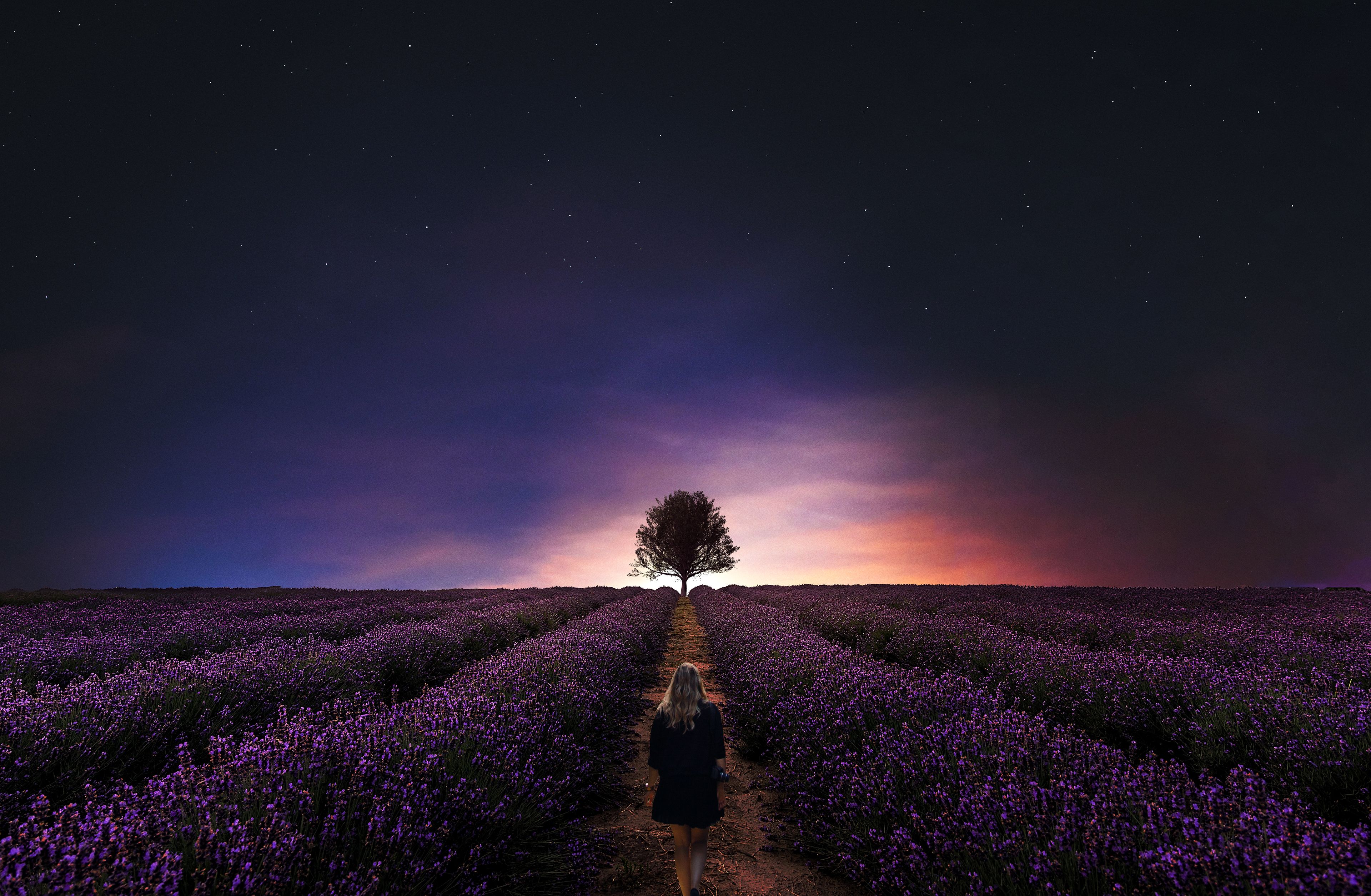 3840x2510 Sunset Wallpaper 4K, Girl, Alone, Lavender farm