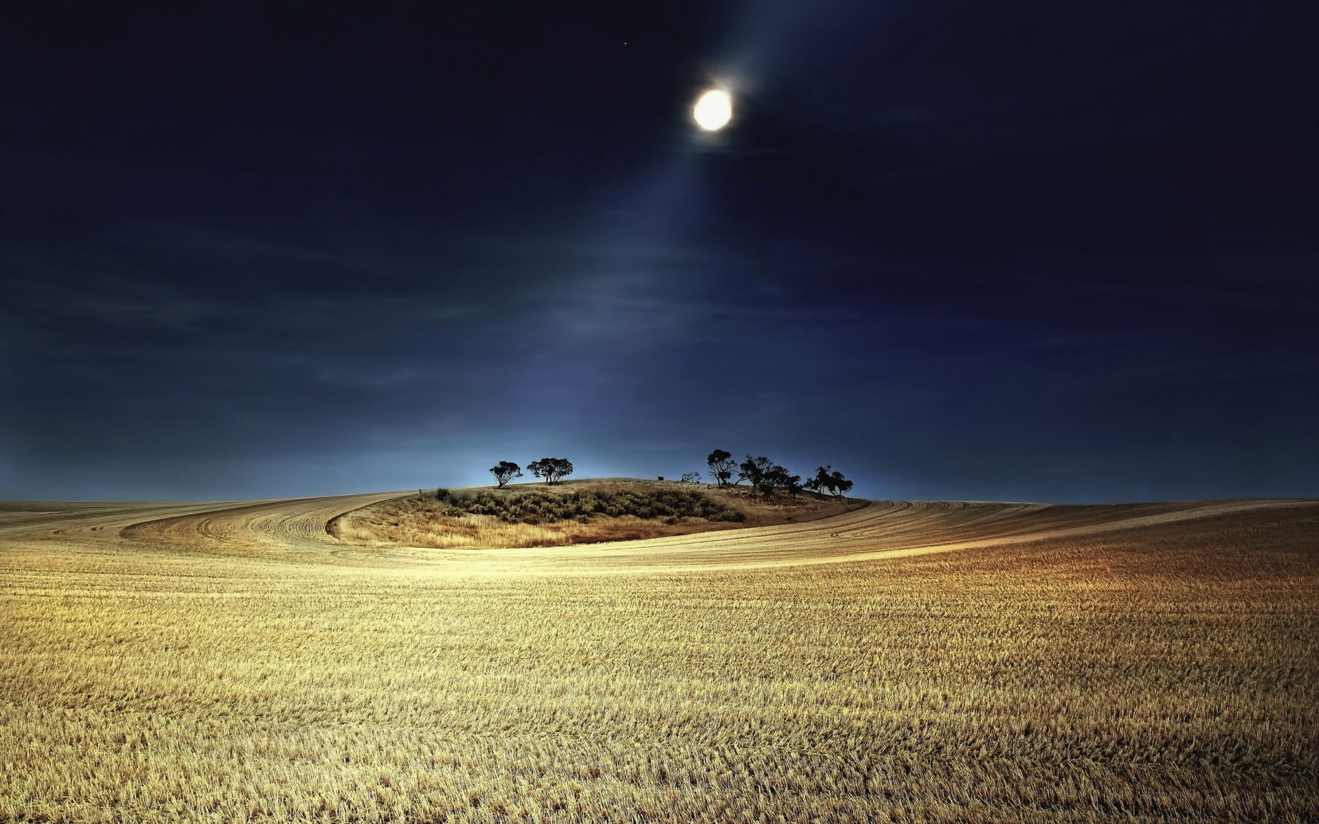 1920x1200 beams, Rays, Moonlight, Moon, Night, Sky, Landscapes, Fields, Farm, Wheat, Hill, Trees Wallpaper HD / Desktop and Mobile Background