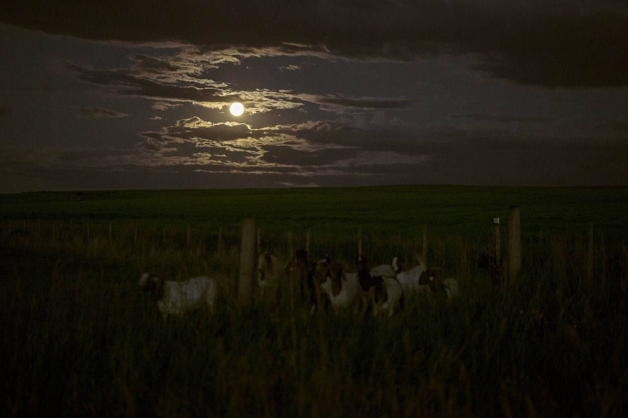 1280x853 Dark, night, clouds, sky, moon