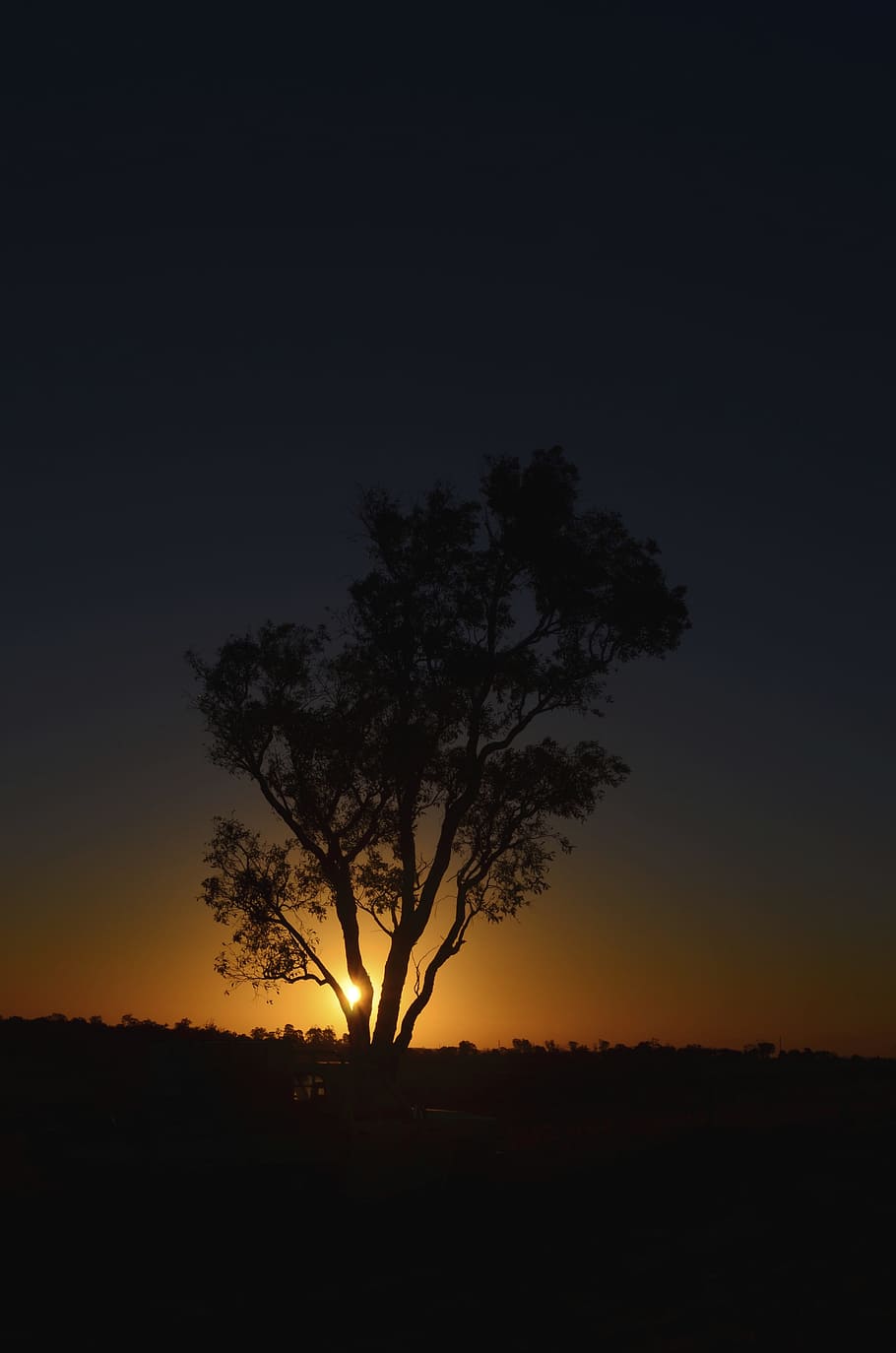910x1374 HD wallpaper: Tree, Sunset, Silhouette, Sun, Farm, night, landscape, lone