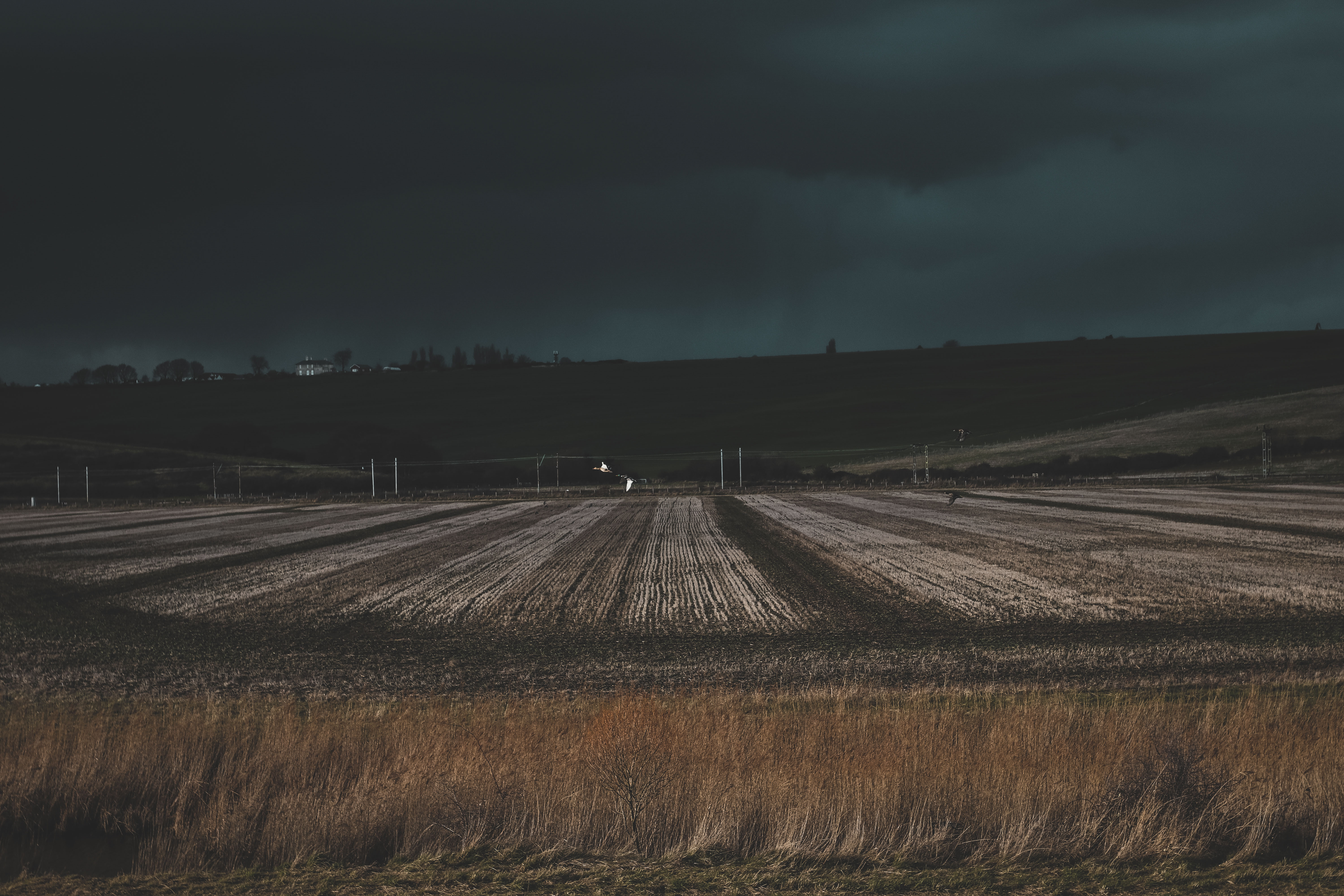 6000x4000 field, grass, evening Wallpaper, HD Nature 4K Wallpaper, Image and Background
