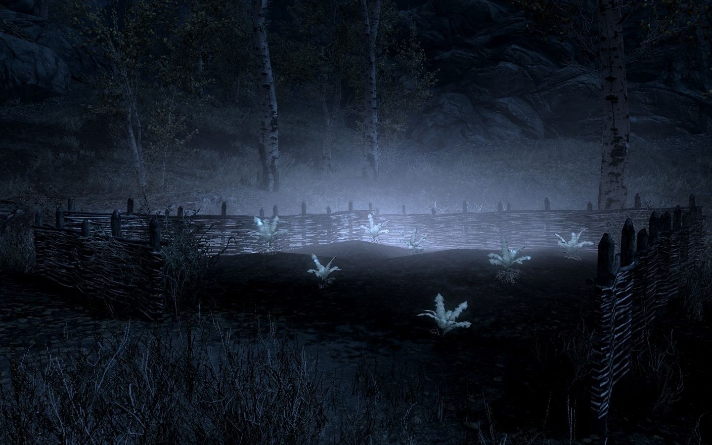 1440x900 Nirnroot