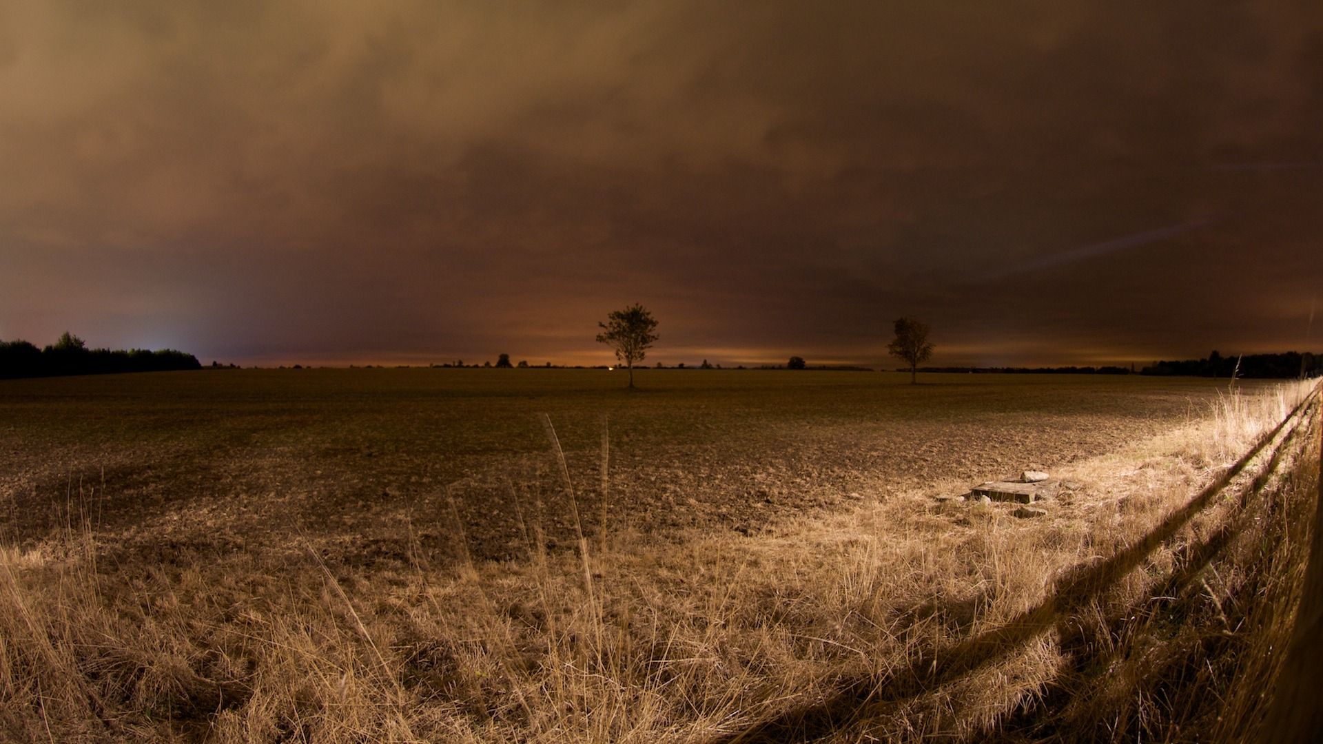 1920x1080 Night- Autumn Landscape wallpaper