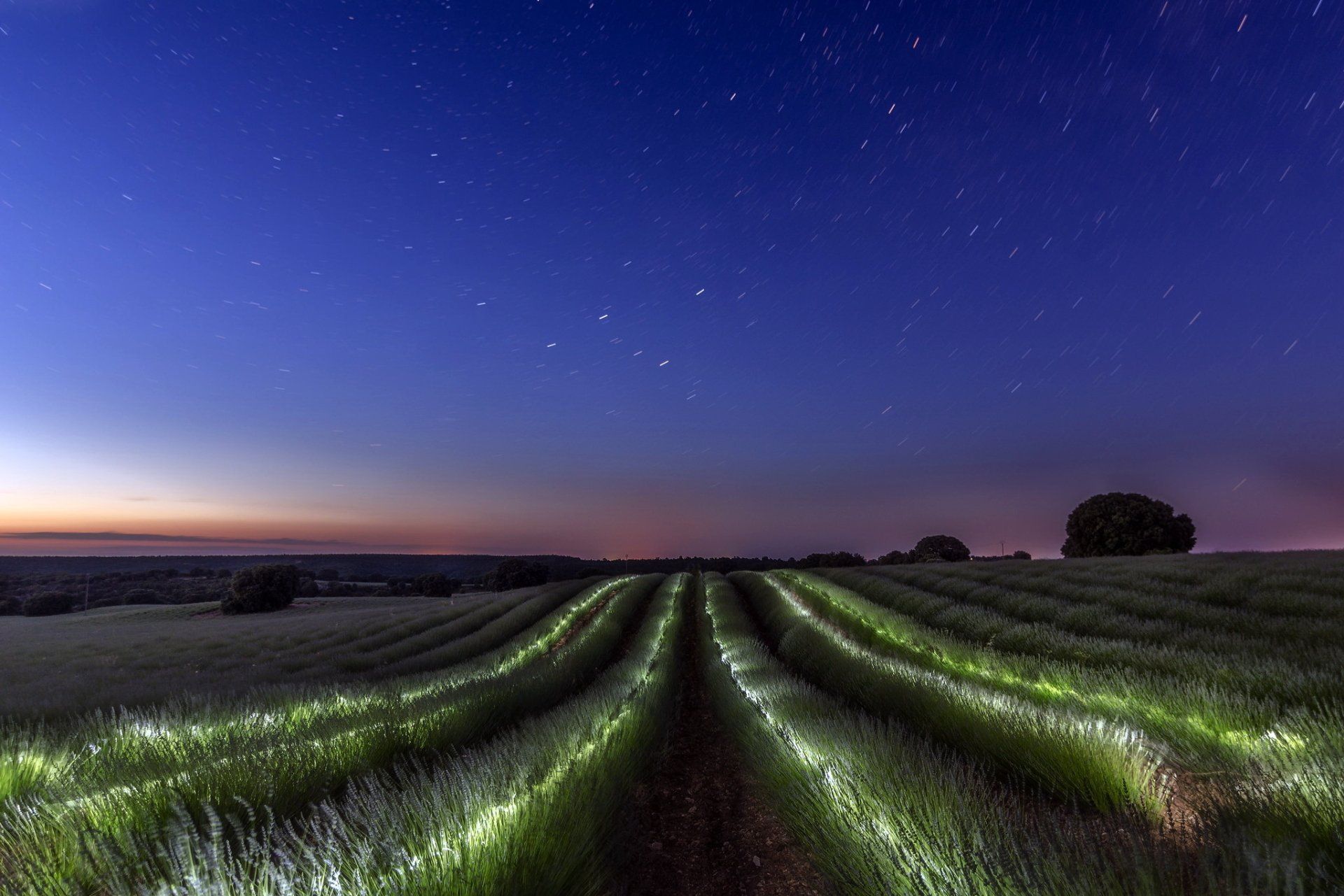1920x1281 Starry Night Over Furrowed Fields