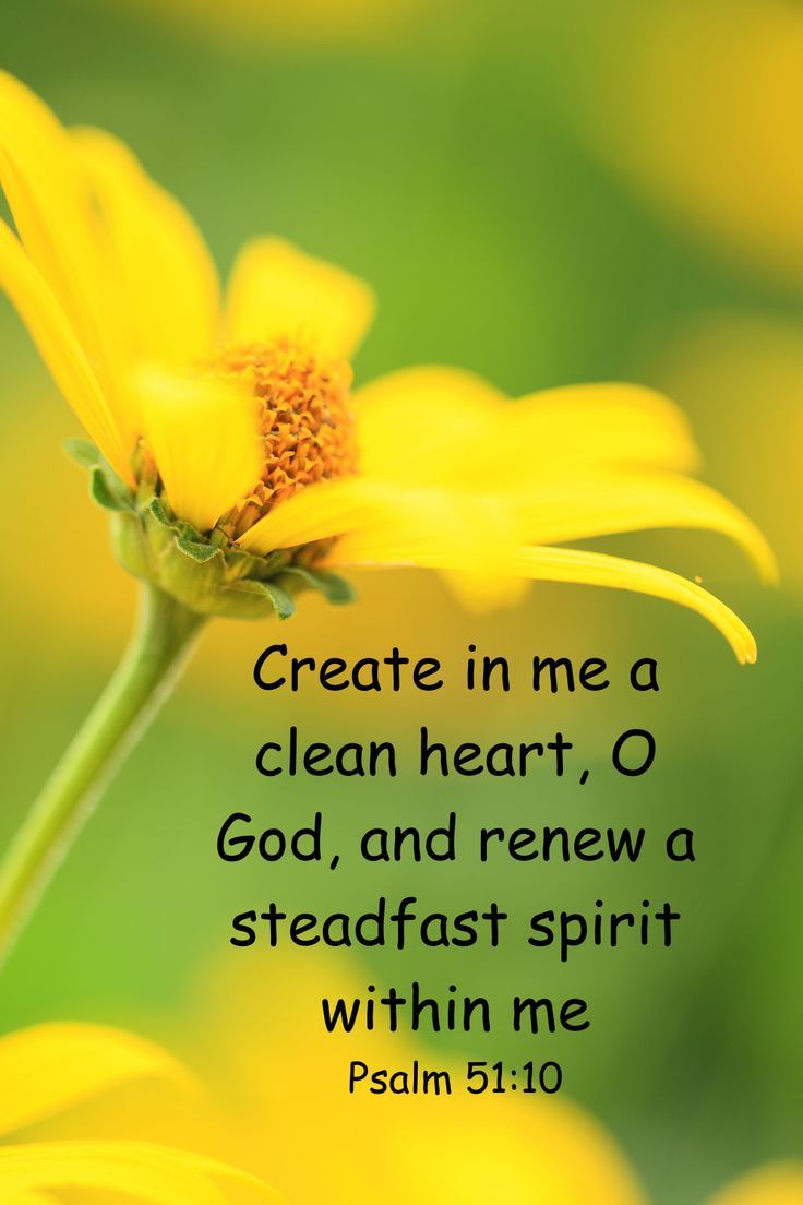 736x1104 Psalm 51:10