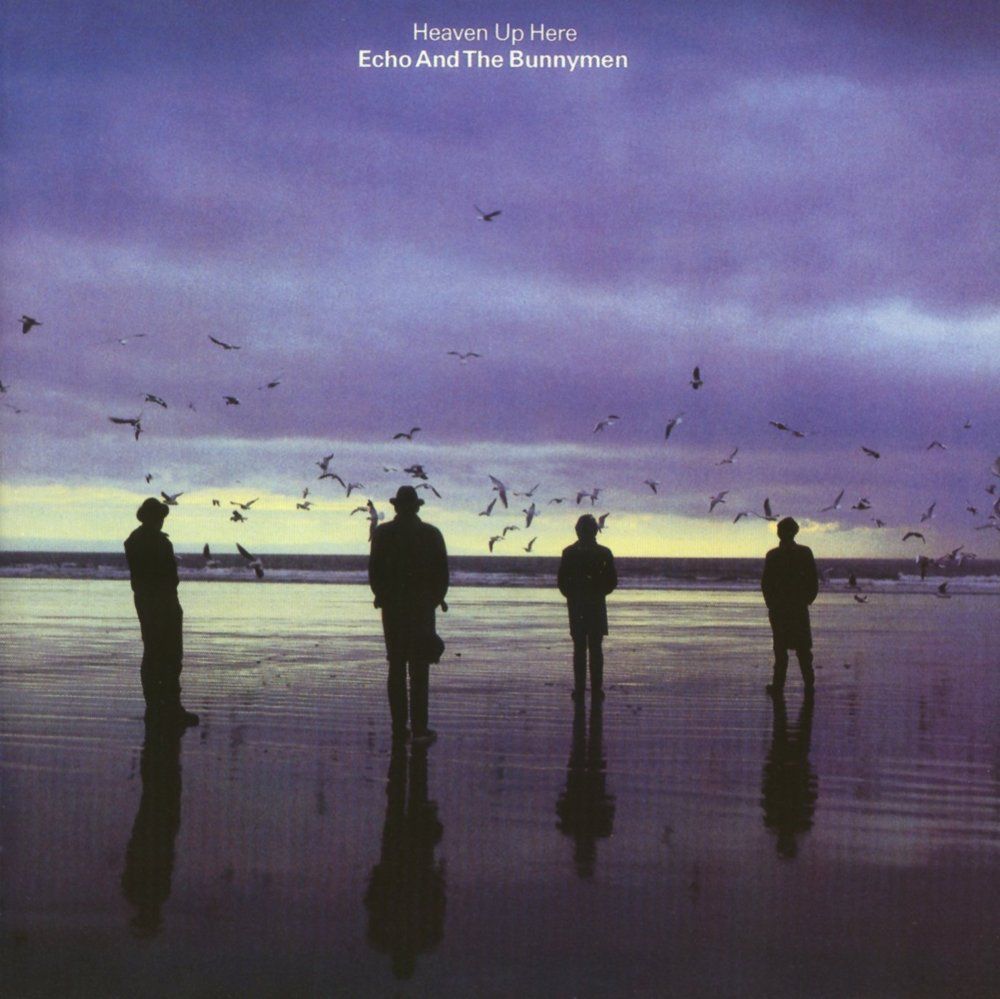1000x999 Echo And The Bunnymen Wallpaper