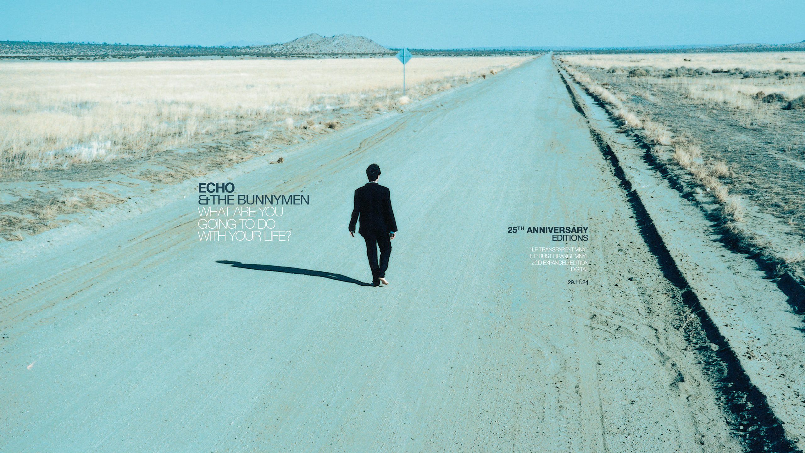 2560x1440 What Are You Going To Do With Your Life?. Echo & The Bunnymen