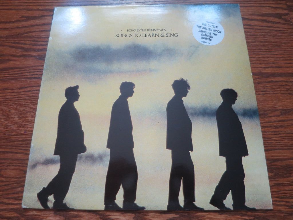 1024x768 Echo & The Bunnymen To Learn And Sing