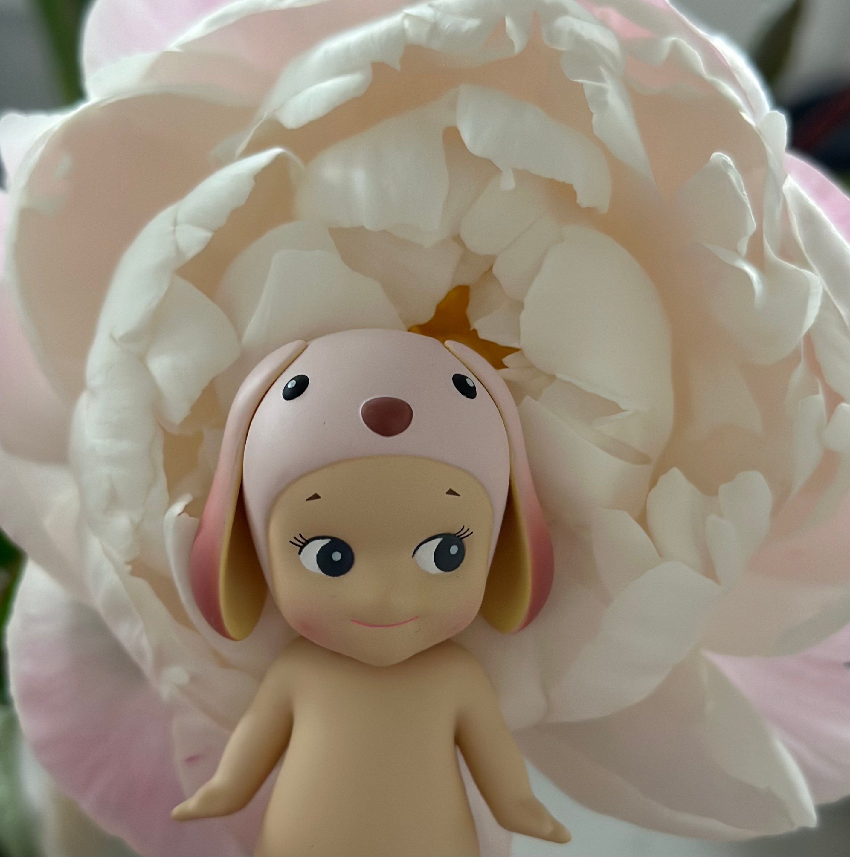 2843x2867 The Sonny Angel craze and shortage, explained