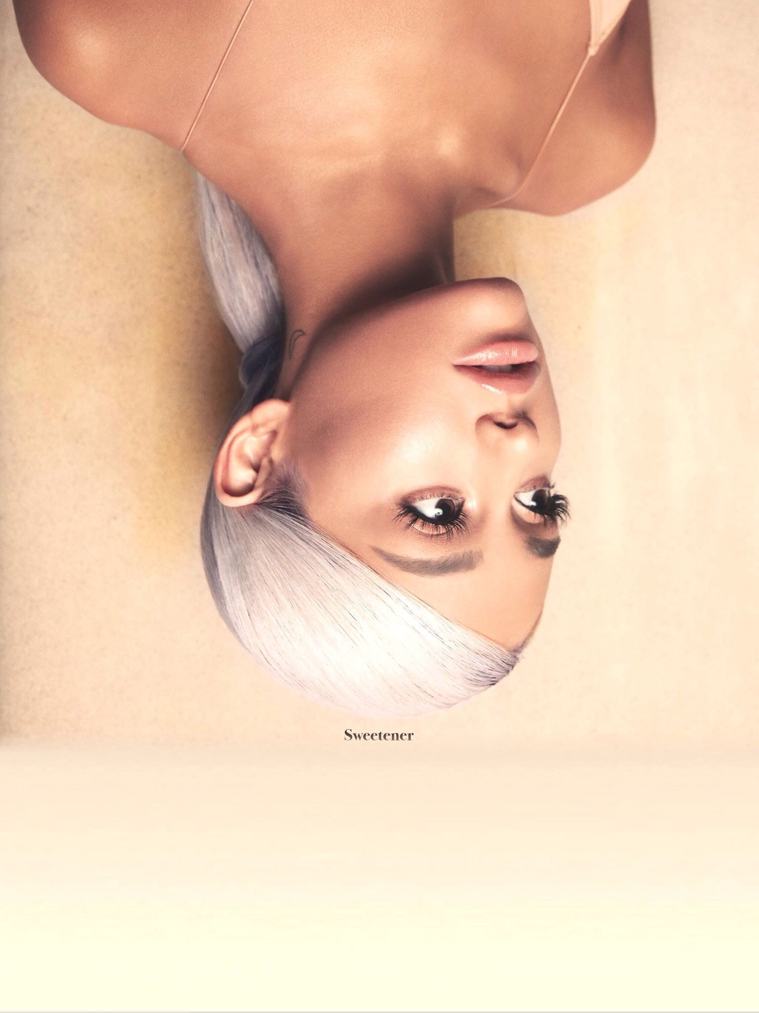 1536x2048 