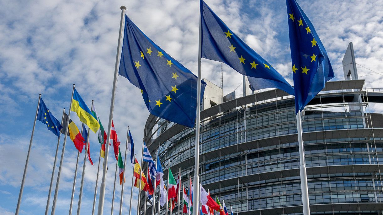1221x687 EUDR: European Parliament Calls For Zero Risk Category