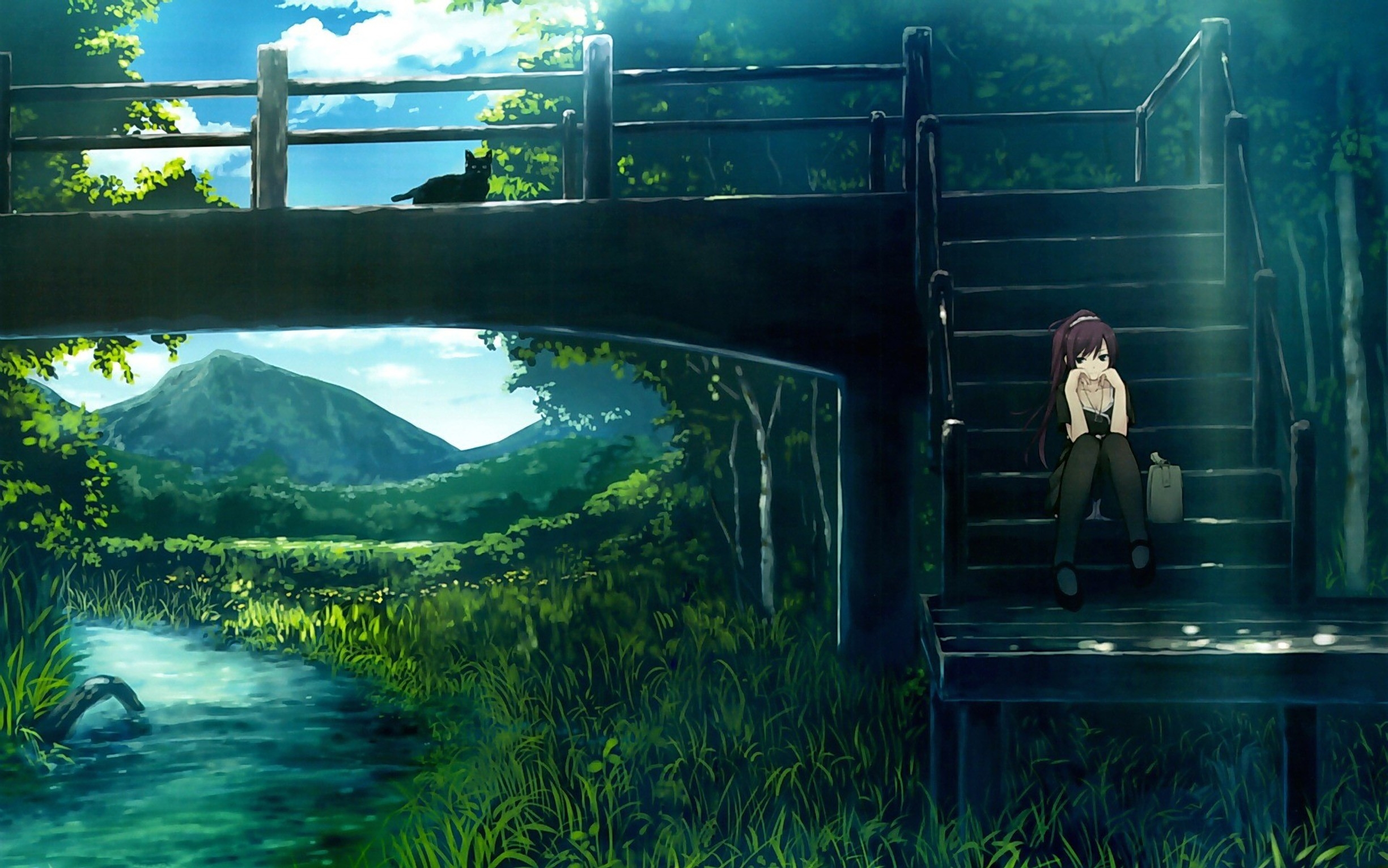 2449x1531 monogatari, girl, landscape Wallpaper, HD Anime 4K Wallpaper, Image and Background