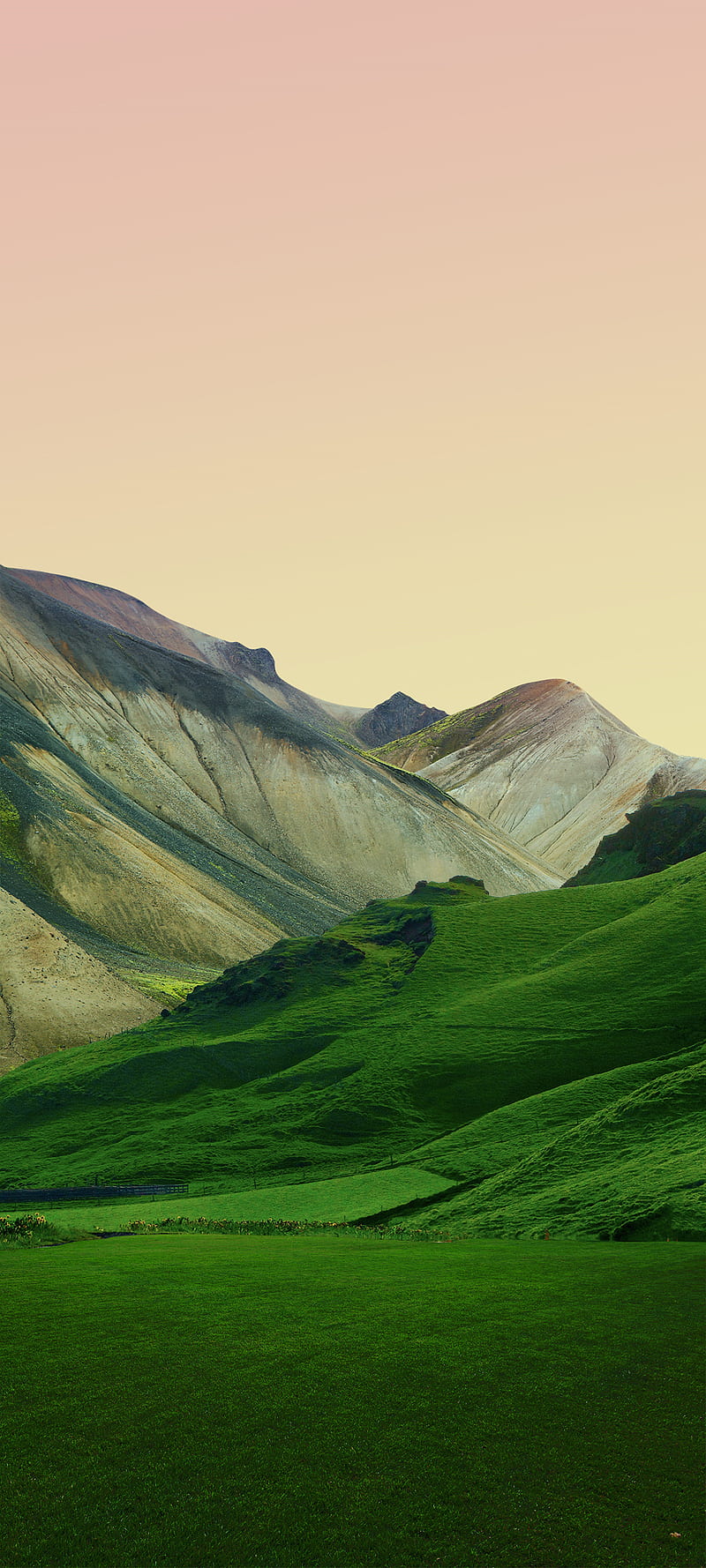 800x1778 MIUI, grassland, meadow, mountain, HD phone wallpaper