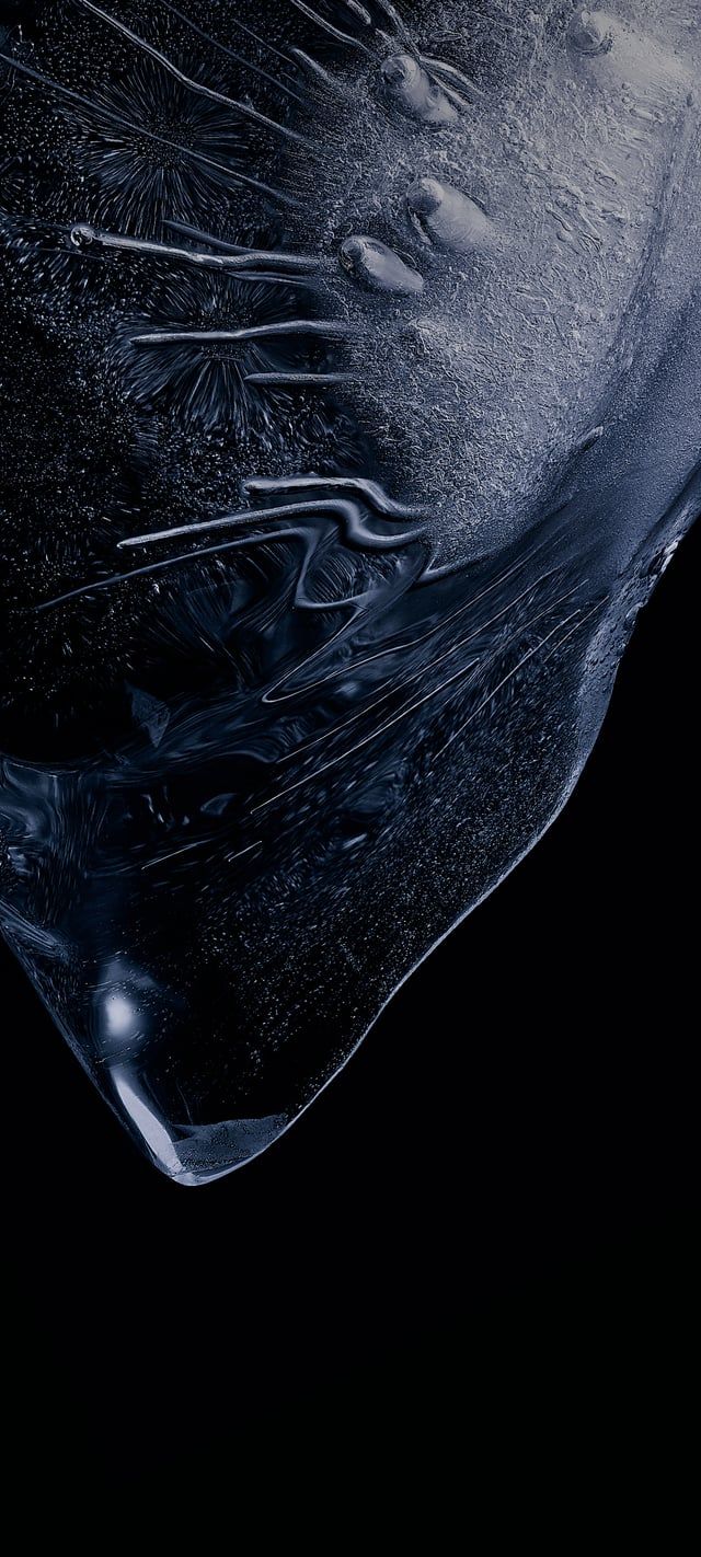 640x1422 Miui 12 stock wallpaper (high resolution)