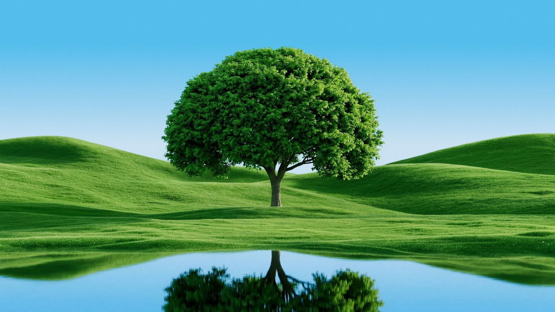 1920x1080 Beautiful Green Tree by Hills and Lake 4K UHD Wallpaper for UltraHD Desktop and TV : Widescreen and UltraWide Display