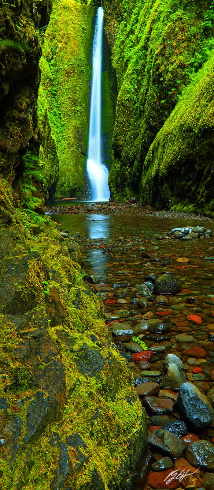 700x1600 Pano128 Oneonta Falls, Oneonta Gorge, Oregon. Randall J Hodges Photography