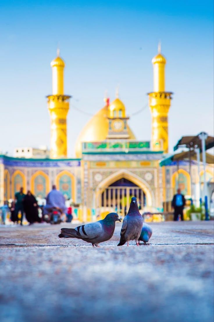 736x1104 Hazrat Abbas. Shrine. Wallpaper