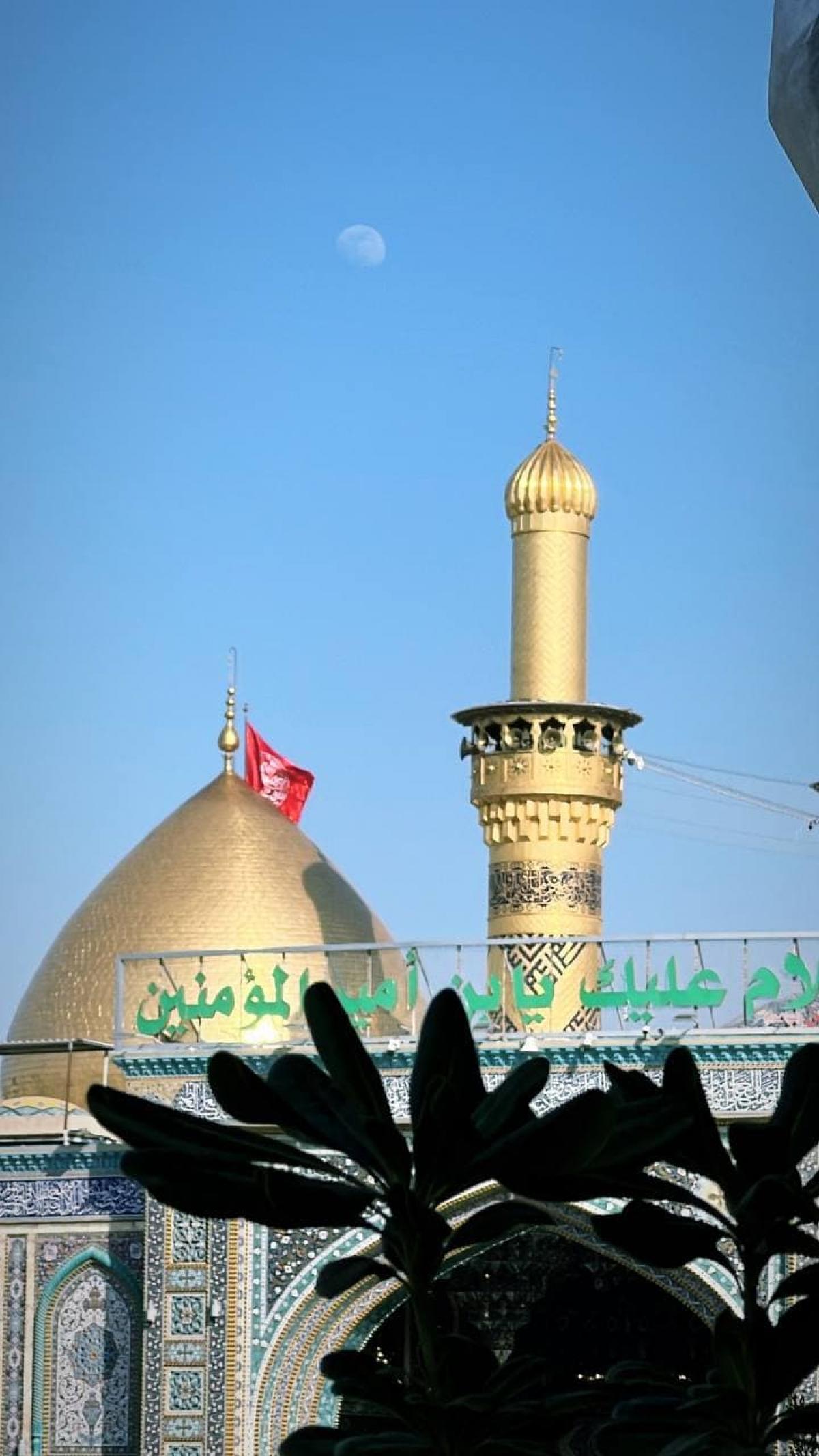 1200x2133 Natural Trees And Roses Decorate The Shrine Of Aba Al Fadl Al Abbas (peace Be Upon Him) In Celebration Of The Blessed Birth Anniversary Of Imam Ali (peace Be Upon Him)