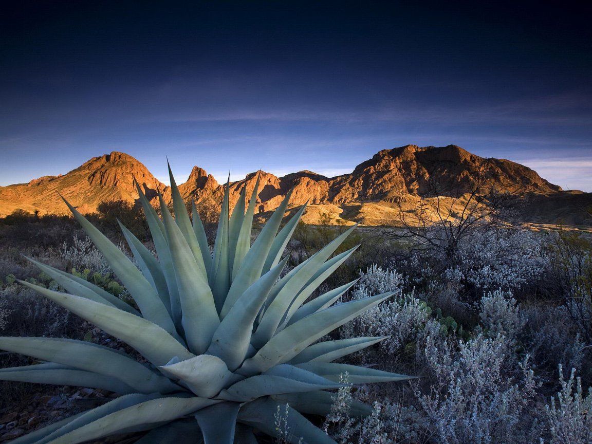 1152x864 Big Bend National Park, TX Around USA