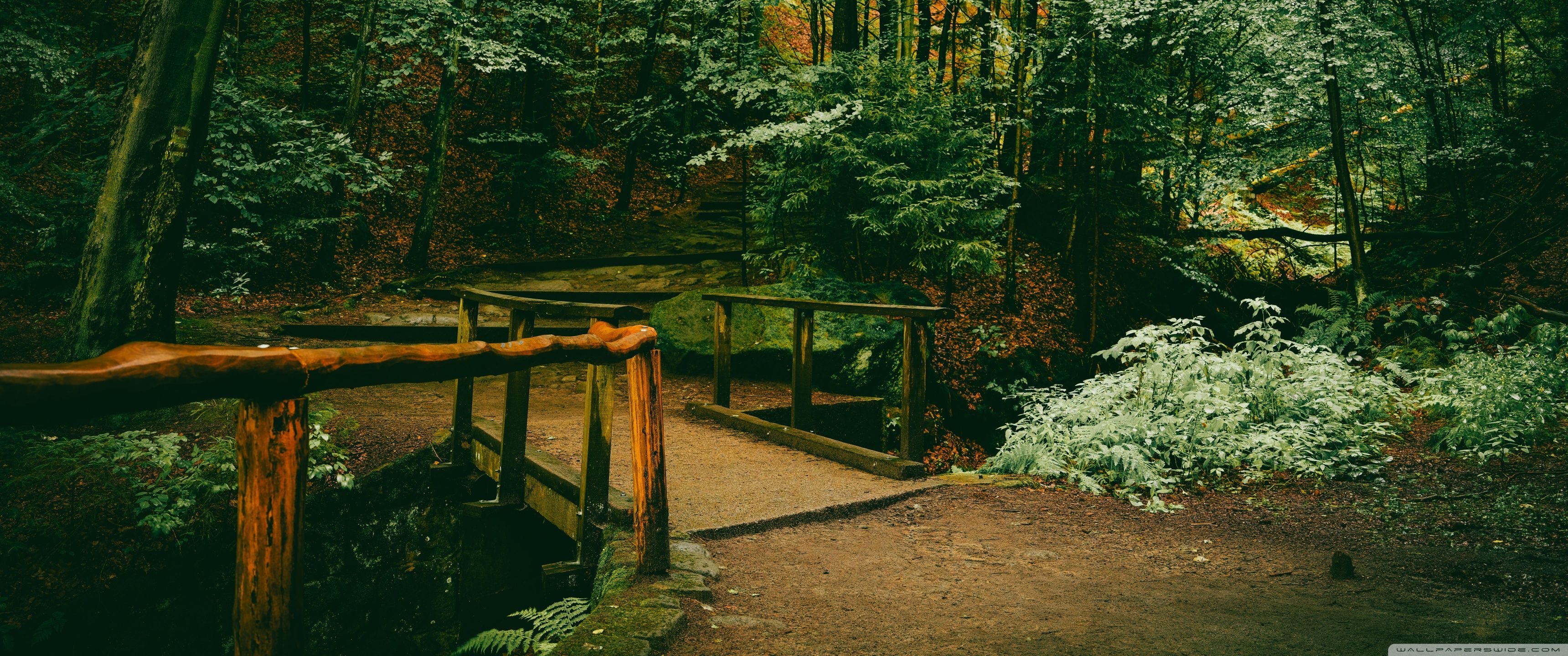 3440x1440 Wooden Bridge in the Forest 4K UHD Wallpaper for UltraHD Desktop and TV : Dual Monitor : Smartphone and Tablet Devices