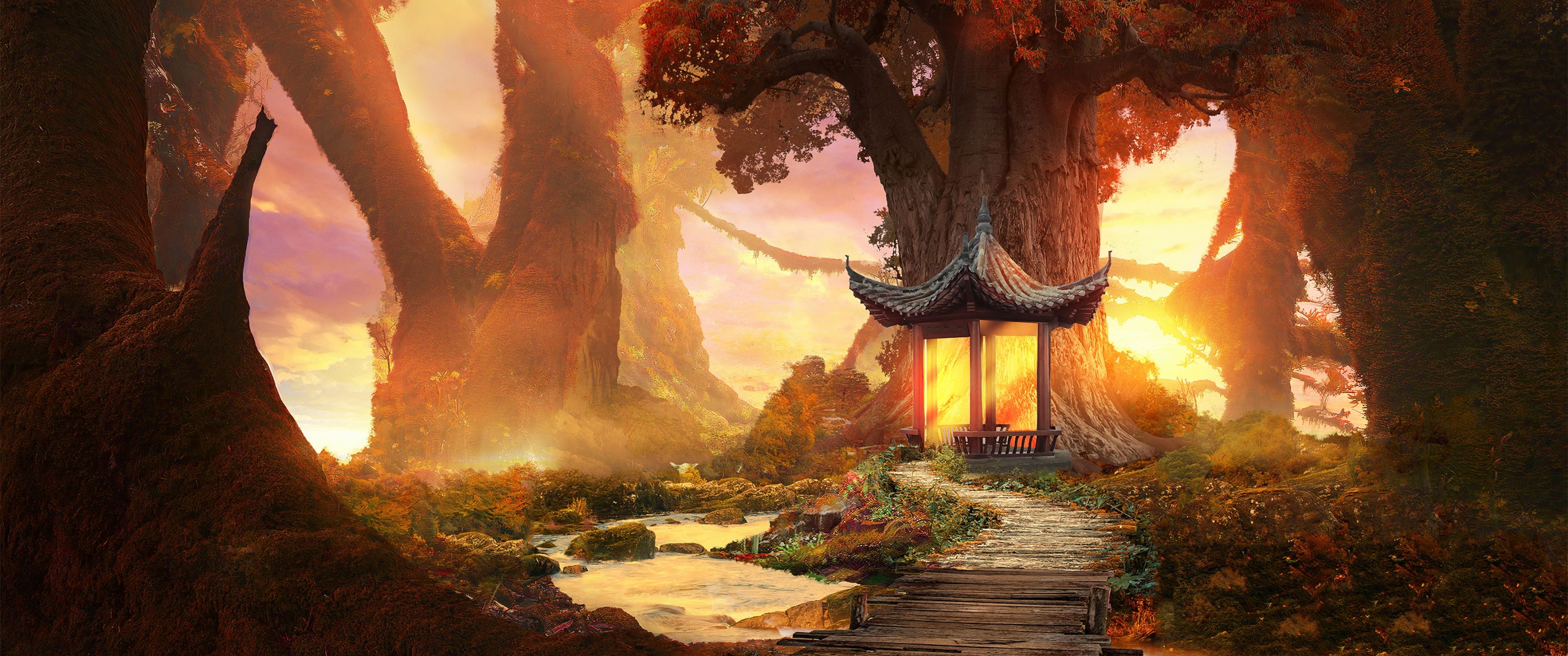 3440x1440 Enchanting Wallpaper 4K, Forest, Wooden path, Sunlight