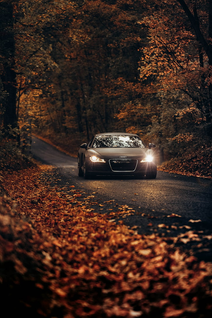 728x1092 Audi tt 1080P, 2K, 4K, 5K HD wallpaper free download