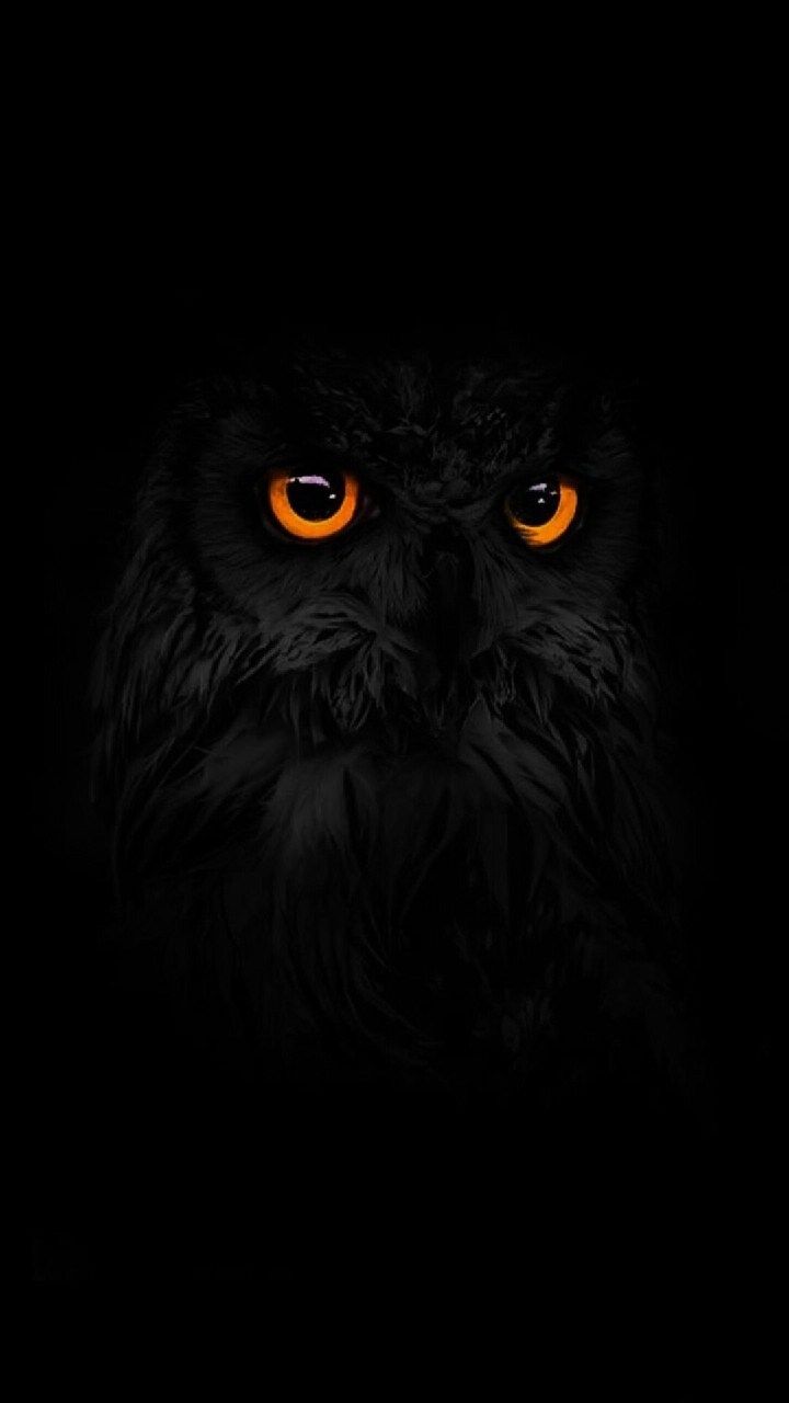 720x1280 Redmi 10c Wallpaper