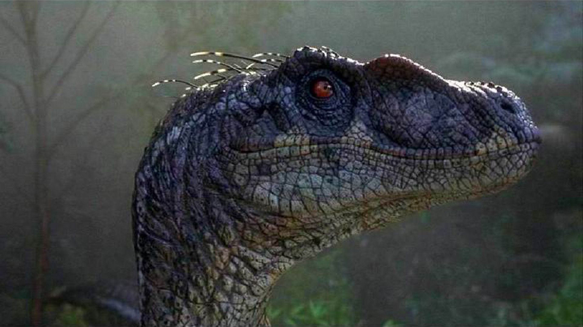 1920x1080 Jurassic Park III (2001) Movie Still 4 of 4