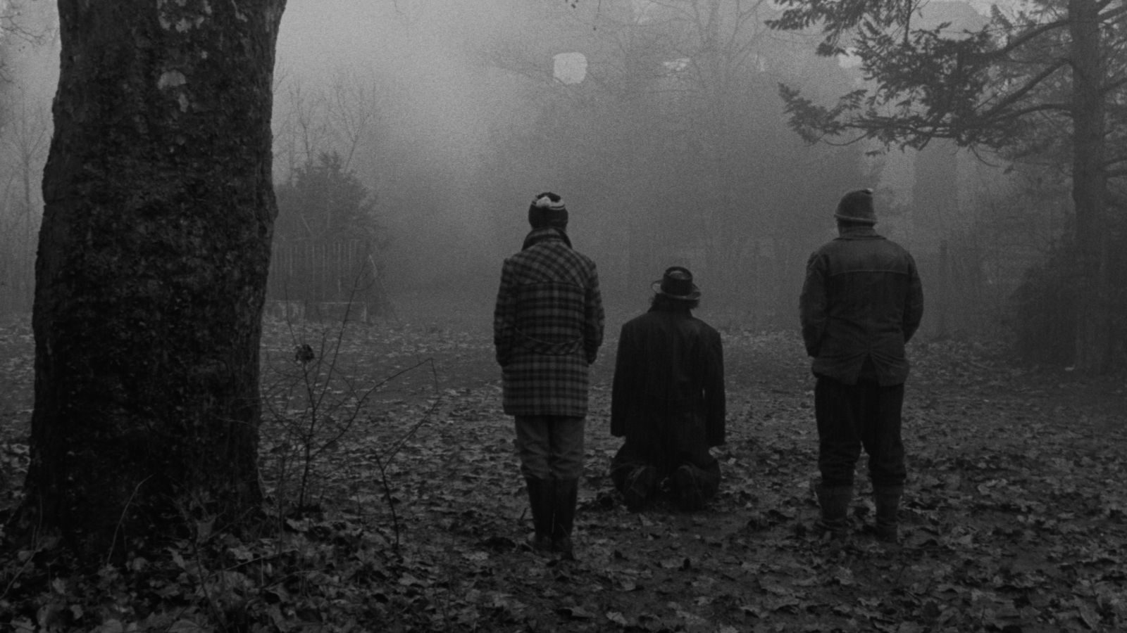 1600x900 Sátántangó' Blu Ray Reviewéla Tarr's Seven Hour Epic Gets Splendid 4K Restoration