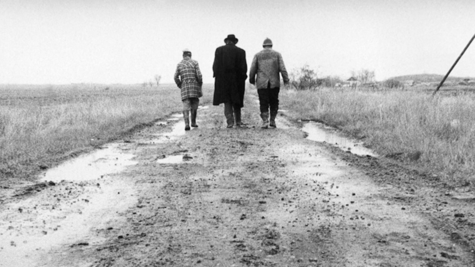 1600x900 We'll go mad in the end. “Sátántangó” (1994)