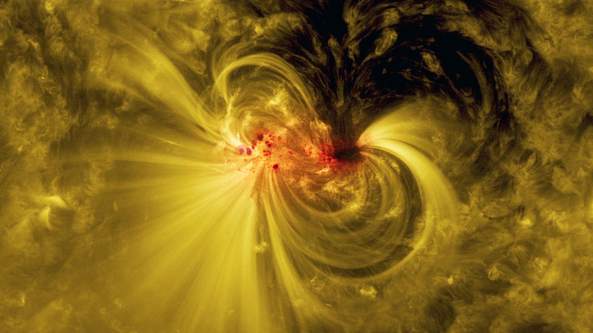 1920x1080 NASA SVS. Two Weeks in the Life of a Sunspot