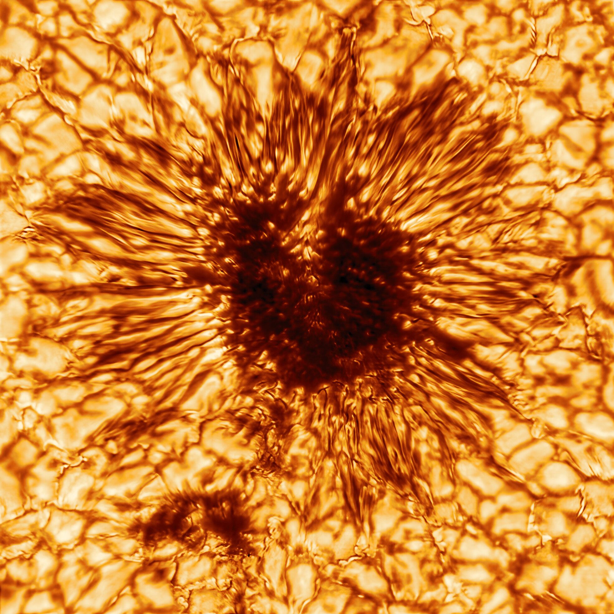 1971x1971 Inouye Solar Telescope Releases First Image of a Sunspot